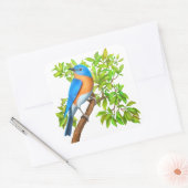 Eastern Bluebird Wild Bird Stickers (Umschlag)