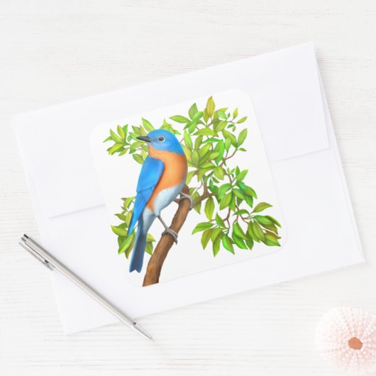 Eastern Bluebird Wild Bird Stickers (Umschlag)