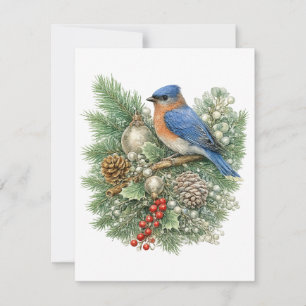 Eastern Bluebird Winter Songbirds Kollektion Mitteilungskarte