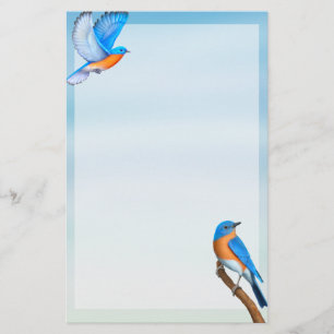Eastern Bluebirds Bird Art Stationierung Briefpapier