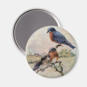 Eastern Bluebirts mit Baby Bird Magnet (Vorderseite/Rückseite)