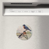 Eastern Bluebirts mit Baby Bird Magnet (In Situ (Geschirrspüler))