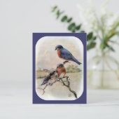 Eastern Bluebirts mit Baby Bird Postkarte (Stehend Vorderseite)