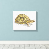 Eastern Box Turtle Canvas Print Leinwanddruck (Insitu (Holzboden))