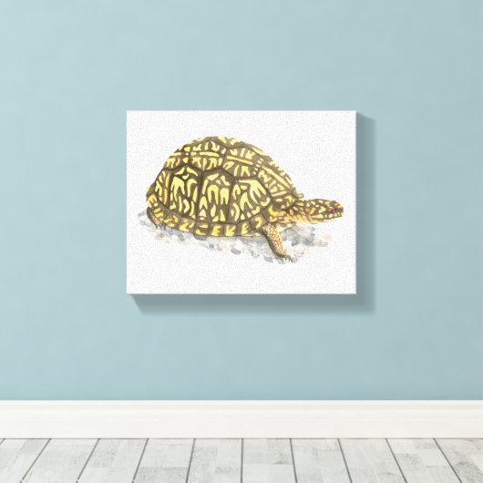 Eastern Box Turtle Canvas Print Leinwanddruck (Insitu (Holzboden))