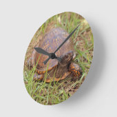 Eastern Box Turtle (North Carolina and Tennessee) Runde Wanduhr (Winkel)