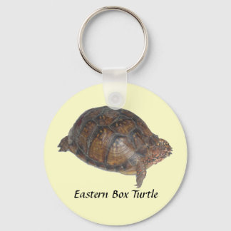 Eastern Box Turtle Schlüsselanhänger