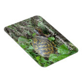 Eastern Box Turtle, Shenandoah National Park Magnet (Rechte Seite)