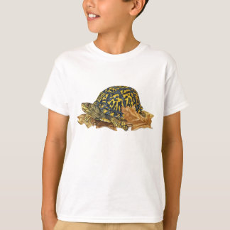 Eastern Box Turtle T - Shirt