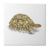 Eastern Box Turtle Tile Fliese (Vorderseite)
