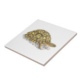 Eastern Box Turtle Tile Fliese (Seite)