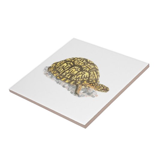 Eastern Box Turtle Tile Fliese (Seite)