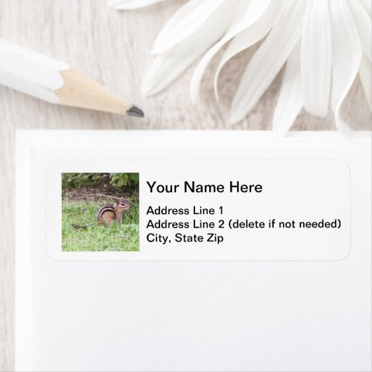 Eastern Chipmunk (Insitu)