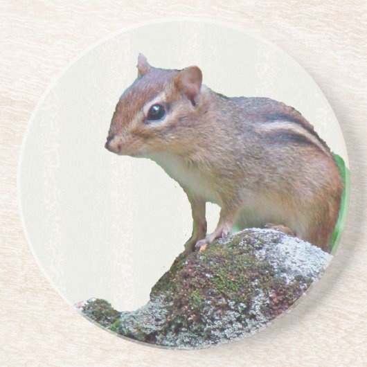 Eastern Chipmunk auf Rock Getränkeuntersetzer (Vorne)