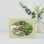 Eastern Chipmunk auf Stump Postkarte (Stehend Vorderseite)