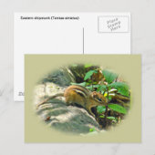 Eastern Chipmunk auf Stump Postkarte (Vorne/Hinten)