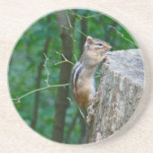 Eastern Chipmunk auf Stump Sandstein Untersetzer (Vorne)