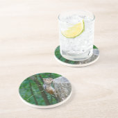 Eastern Chipmunk auf Stump Sandstein Untersetzer (Seite)