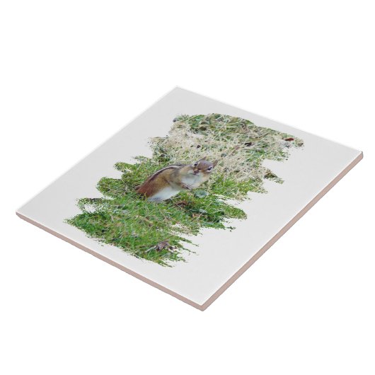 Eastern Chipmunk Fliese (Seite)