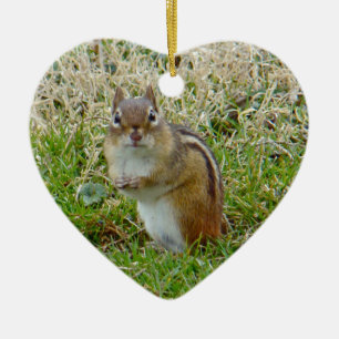 Eastern Chipmunk Keramik Ornament