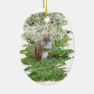 Eastern Chipmunk Keramikornament