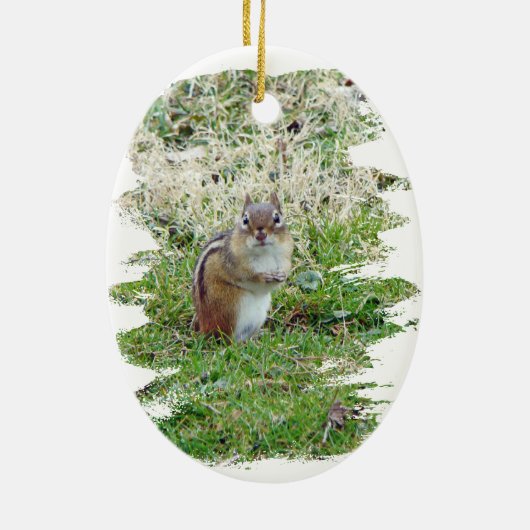 Eastern Chipmunk Keramikornament (Hinten)