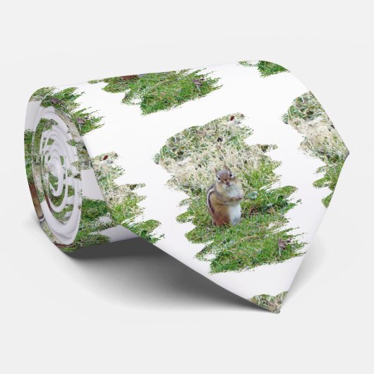 Eastern Chipmunk Krawatte (Gerollt)