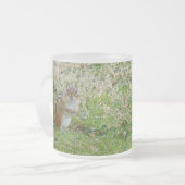 Eastern Chipmunk Mattglastasse (Vorderseite Links)