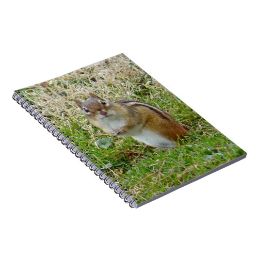 Eastern Chipmunk Notizblock (Rechte Seite)