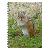 Eastern Chipmunk Notizblock (Vorderseite)