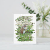 Eastern Chipmunk Postkarte (Stehend Vorderseite)