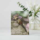 Eastern Chipmunk Postkarte (Stehend Vorderseite)