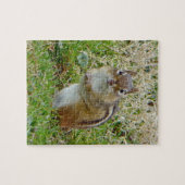 Eastern Chipmunk Puzzle (Horizontal)
