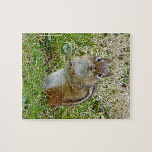 Eastern Chipmunk Puzzle (Horizontal)