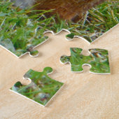 Eastern Chipmunk Puzzle (Seite)