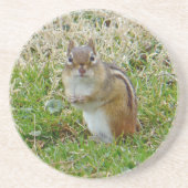 Eastern Chipmunk Sandstein Untersetzer (Vorne)