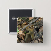 Eastern Chipmunk - Tamias striatus Button (Vorne & Hinten)