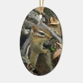 Eastern Chipmunk - Tamias striatus Keramik Ornament (Links)