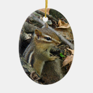 Eastern Chipmunk - Tamias striatus Keramik Ornament