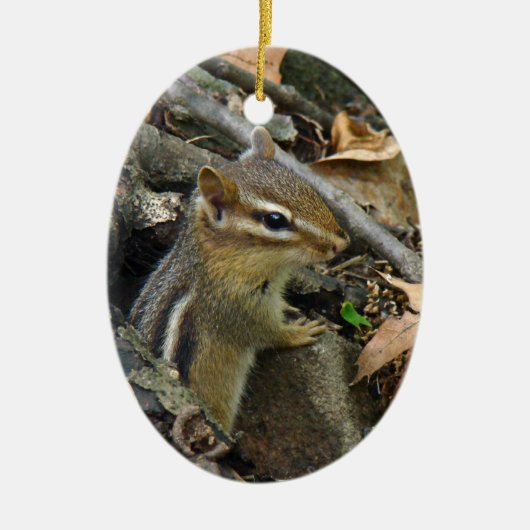 Eastern Chipmunk - Tamias striatus Keramik Ornament (Vorne)