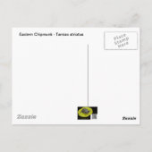 Eastern Chipmunk - Tamias striatus Postkarte (Rückseite)