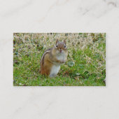 Eastern Chipmunk - Tamias striatus Visitenkarte (Rückseite)