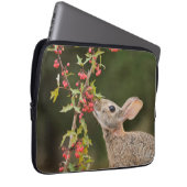 Eastern Cottontail | Südtexas Laptopschutzhülle (Vorne Rechts)