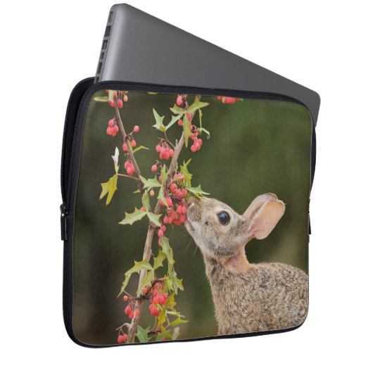 Eastern Cottontail | Südtexas Laptopschutzhülle (Vorne Rechts)