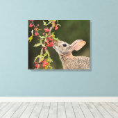 Eastern Cottontail | Südtexas Leinwanddruck (Insitu (Holzboden))