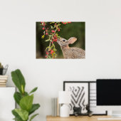Eastern Cottontail | Südtexas Poster (Heimbüro)