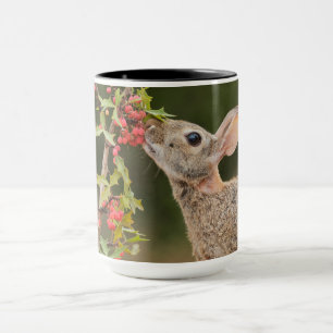 Eastern Cottontail   Südtexas Tasse