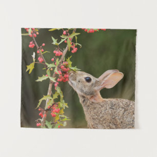 Eastern Cottontail Südtexas Wandteppich
