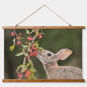 Eastern Cottontail Südtexas Wandteppich Mit Holzrahmen