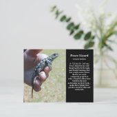 Eastern Fence Lizard Sc Wildlife Postkarte (Stehend Vorderseite)